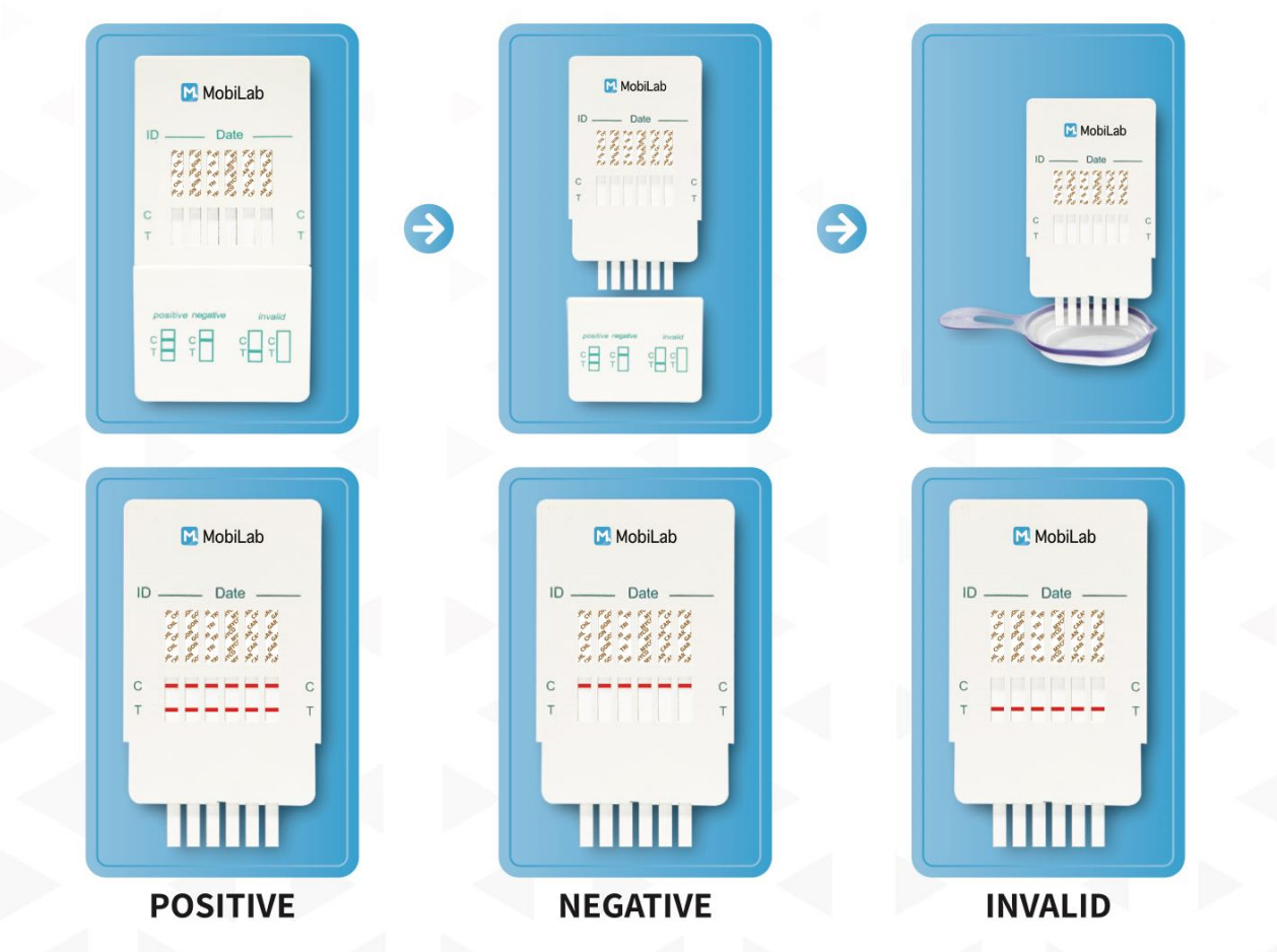 UroSure results-guide cassette and readout